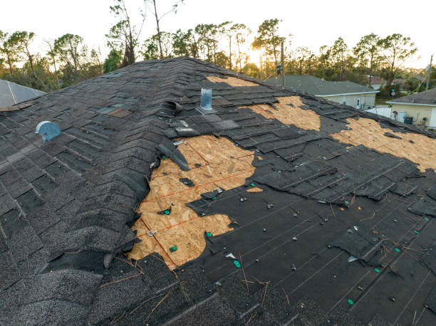 Best Steel Roofing  in Canton, IL